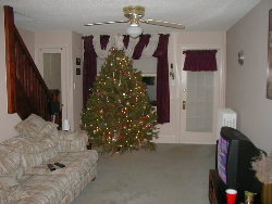 Mr Christmas Tree